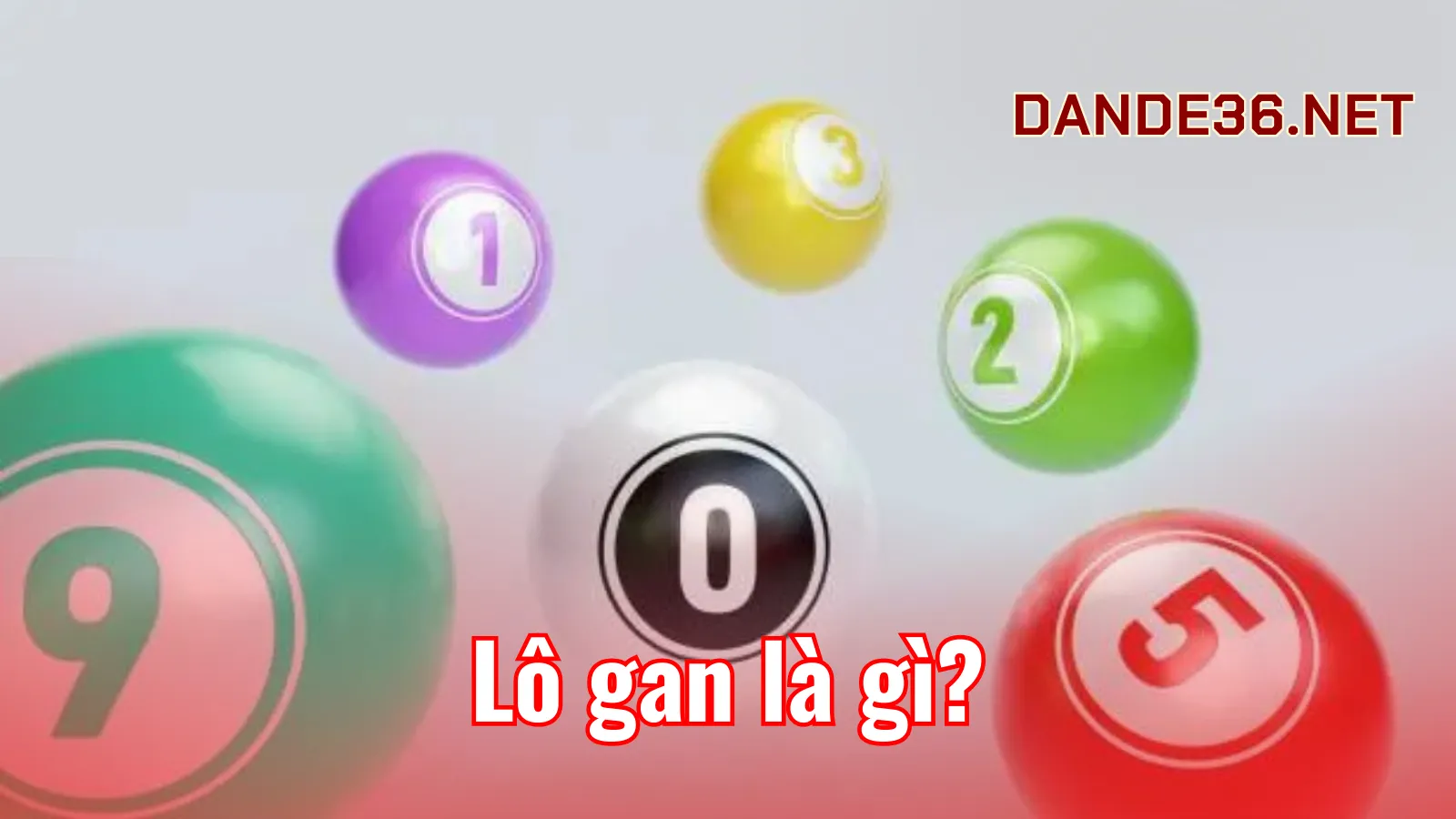 Lô gan là gì?