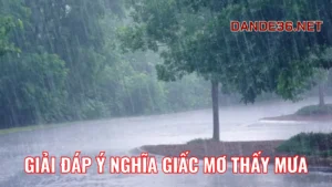 Điềm Báo Tâm Linh Khi Ngủ Mơ Thấy Mưa