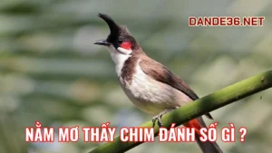 Ý Nghĩa Tâm Linh Của Giấc Mơ Thấy Chim