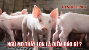 Giải Mã Chi Tiết Các Điềm Báo Khi Ngủ Mơ Thấy Lợn Heo