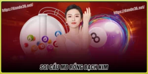 Soi cầu MB Rồng Bạch Kim - Bạch Thủ Lô đẹp nhất hôm nay