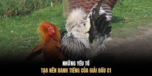 Những yếu tố tạo nên danh tiếng của giải đấu C1